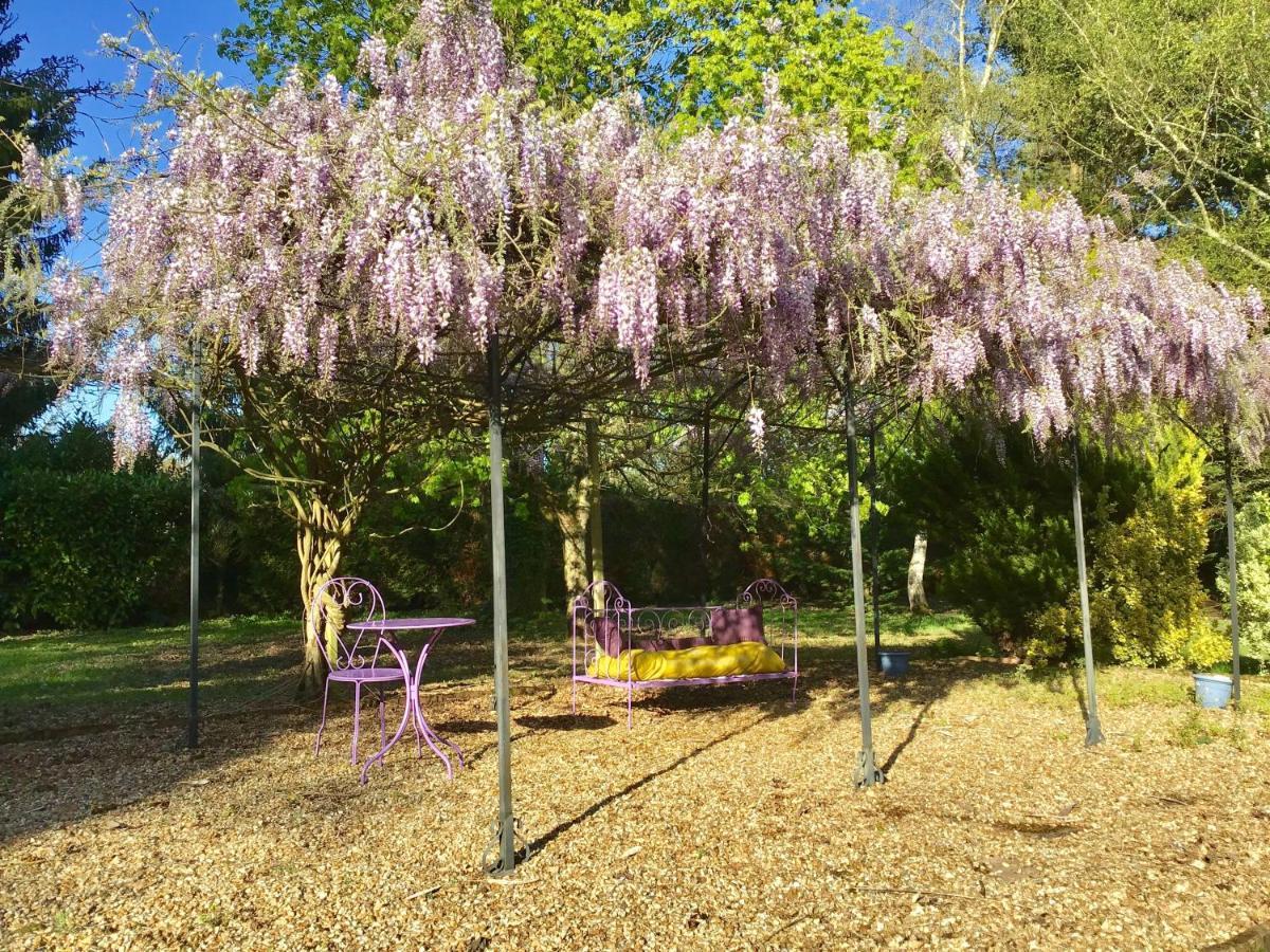 L'Aigrette Bed & Breakfast Veigne ภายนอก รูปภาพ
