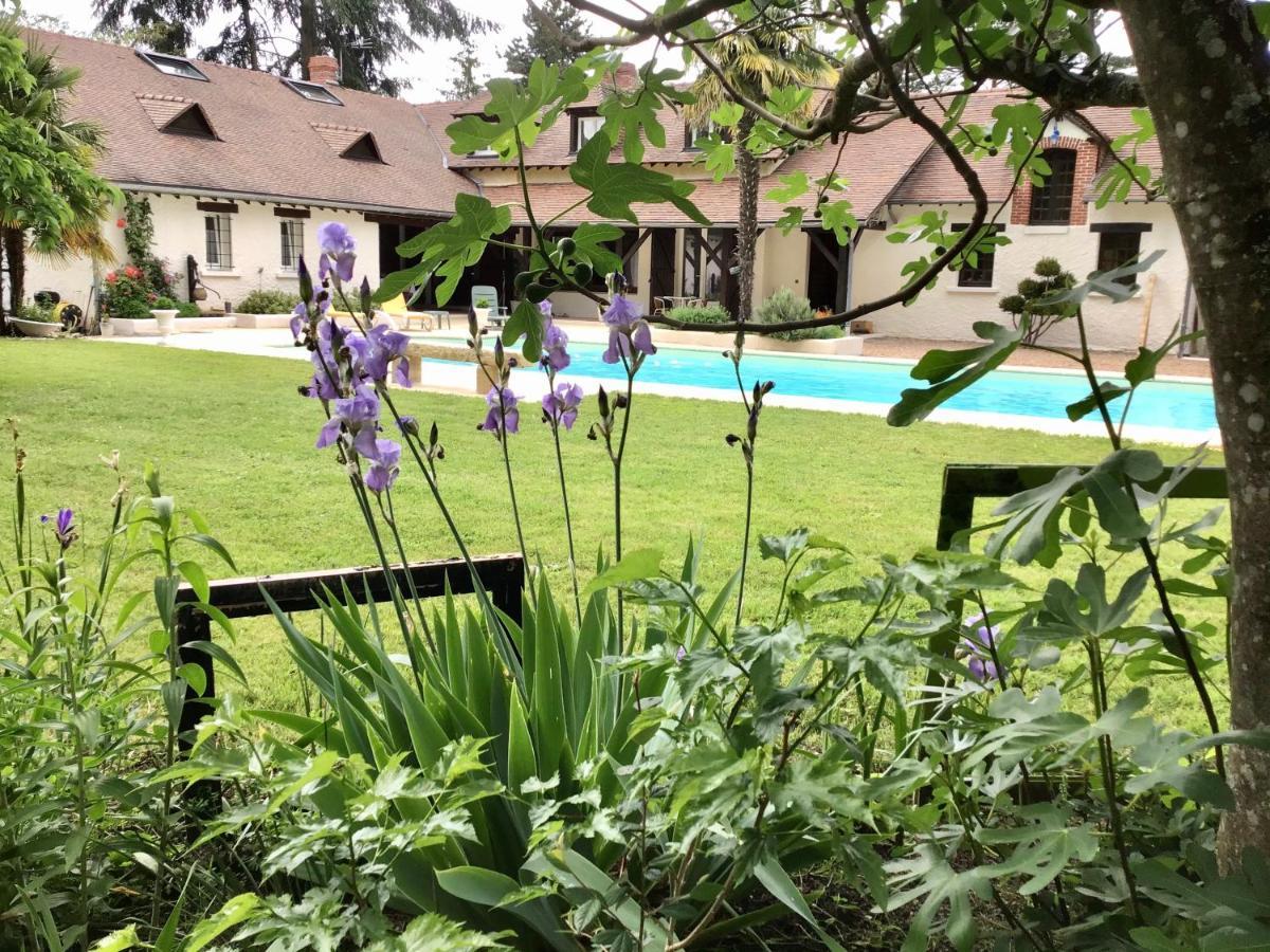 L'Aigrette Bed & Breakfast Veigne ภายนอก รูปภาพ